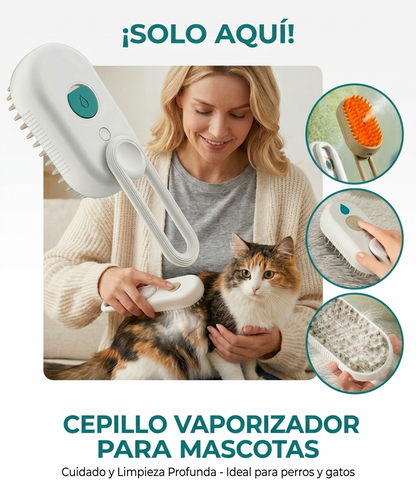 Cepillo a Vapor 3en1